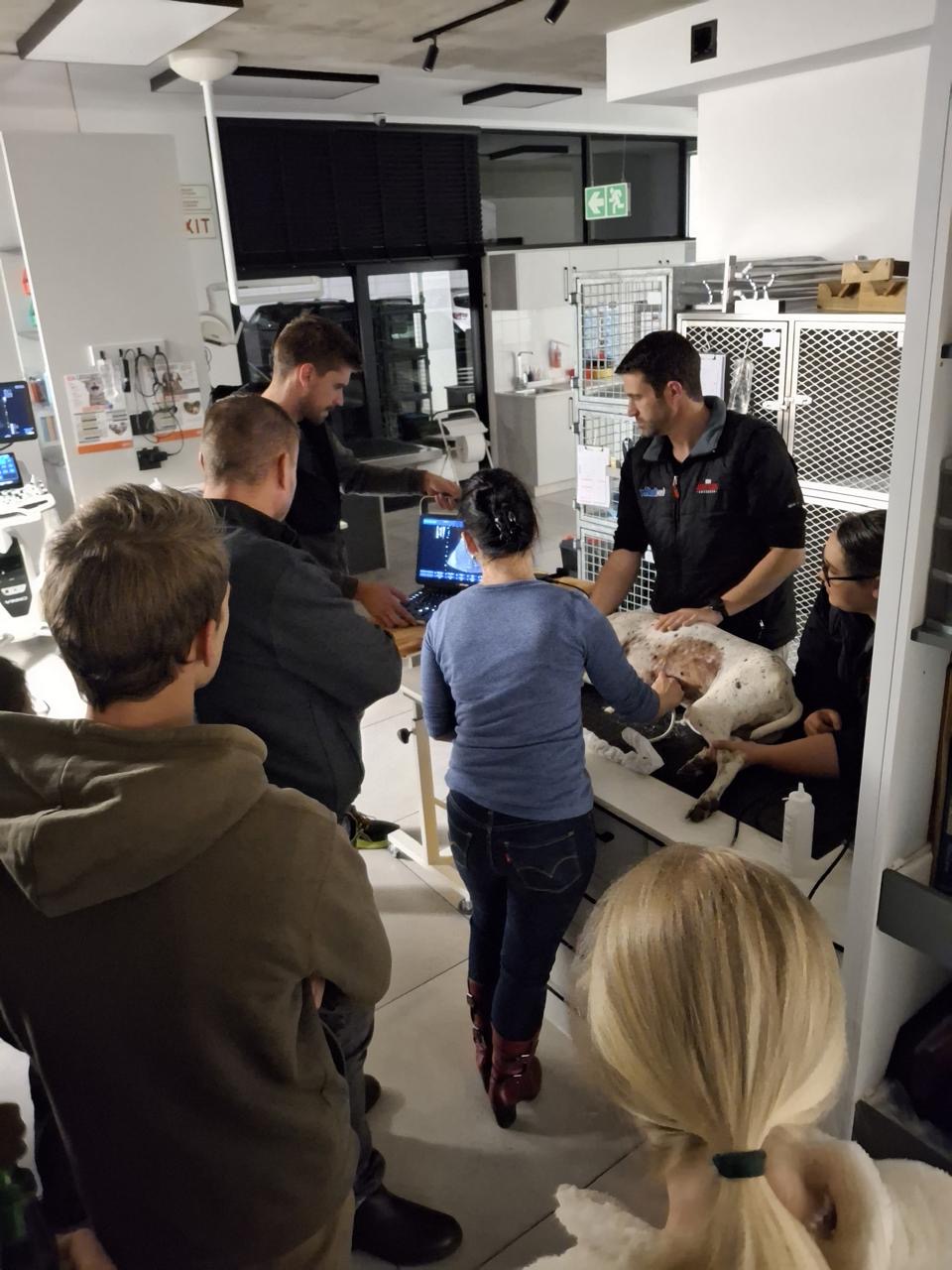 Impilo Medical Clinic facility